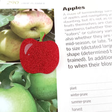 Load image into Gallery viewer, Mini Brooch Apple